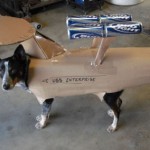 Acest caine merge acolo unde niciun alt caine nu a mai ajuns vreodata