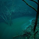 Alien-World-On-Planet-Earth