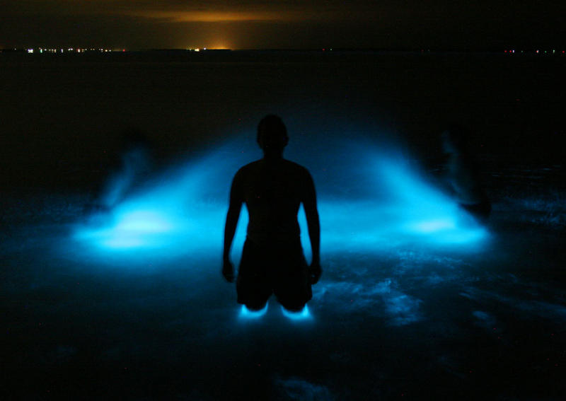 BioLuminescence_33