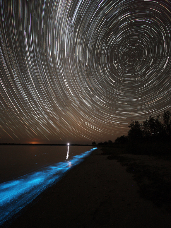 Biolumiscence_Star_Trail_sm