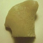 Oase umane crescute in laborator din celule stem