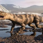 DogCroc