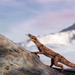 RatCroc