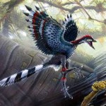 archaeopteryx