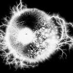 Companiile energetice: cand cai nazdravani, cand martoage amarate 