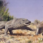 Oamenii au cauzat disparitia mega-animalelor din Australia