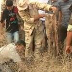 O groapa comuna cu peste 1.200 de cadavre a fost descoperita in Tripoli 