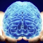 IBM a realizat cipuri care imita creierul uman