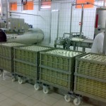 salconserv 1